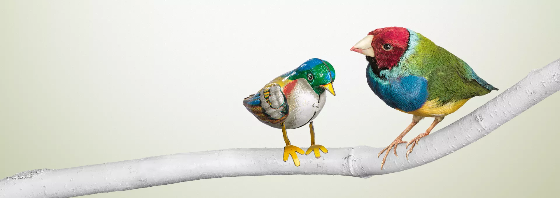 A tin bird stitting on a branch next to a real bird symbolizing the difference of other hearing aid technology to Bernafon Viron.